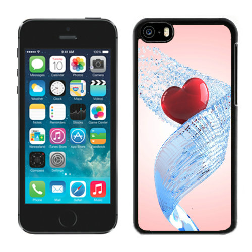 Valentine Heart iPhone 5C Cases CSN